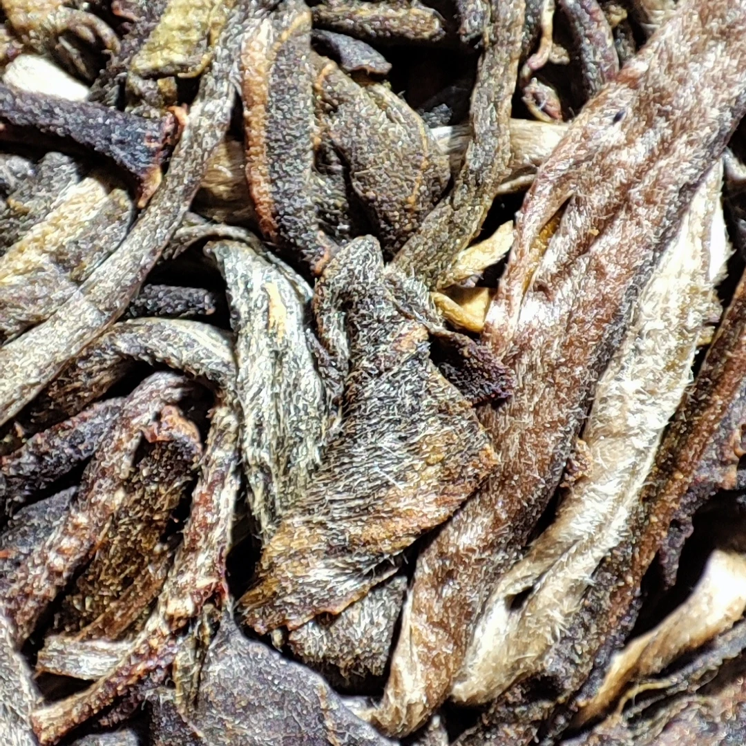 洪普号2023年头春【正气塘】挑采单株普洱生茶古树茶纯料200g