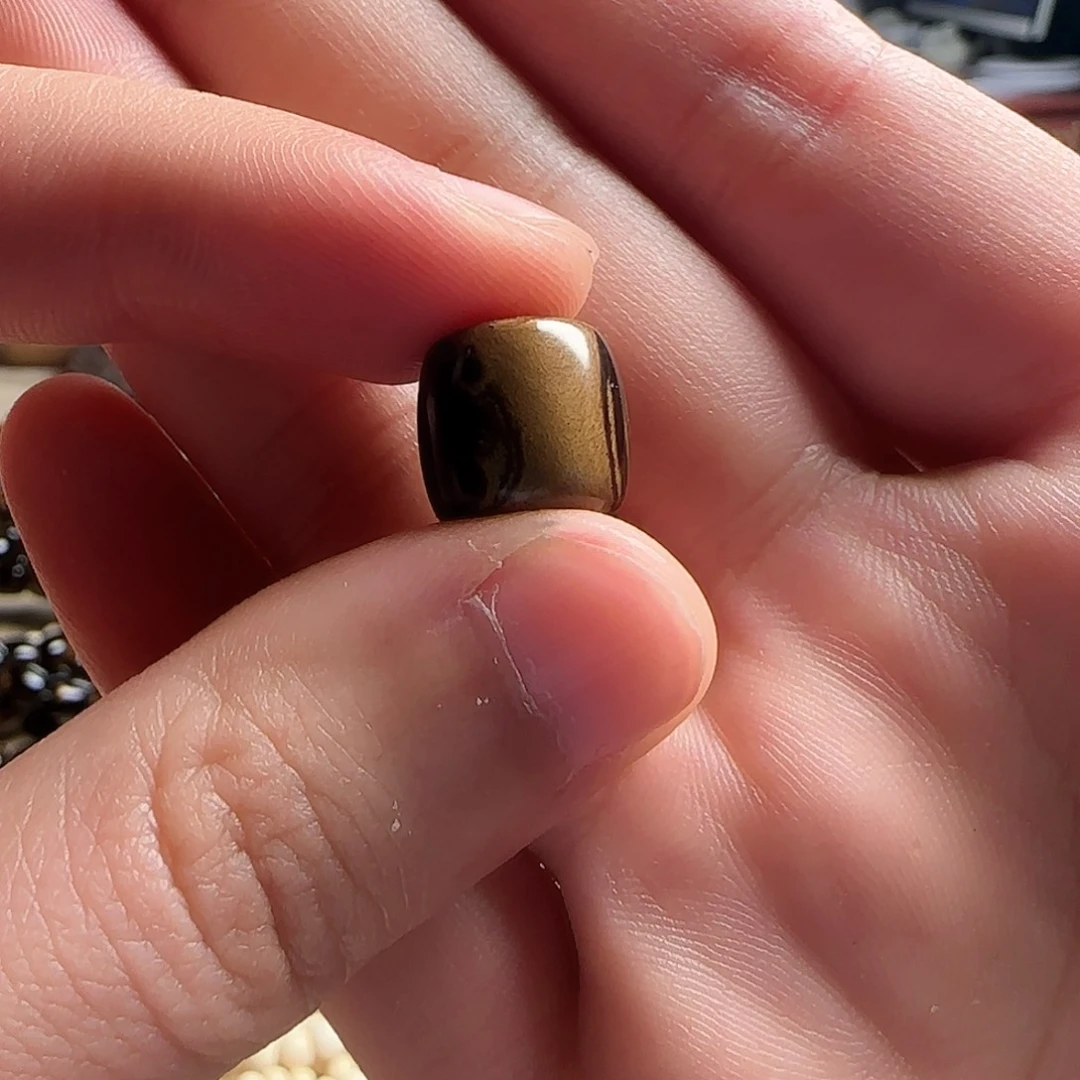 泥塑晓*海柳1.2尺寸单颗毕业全品