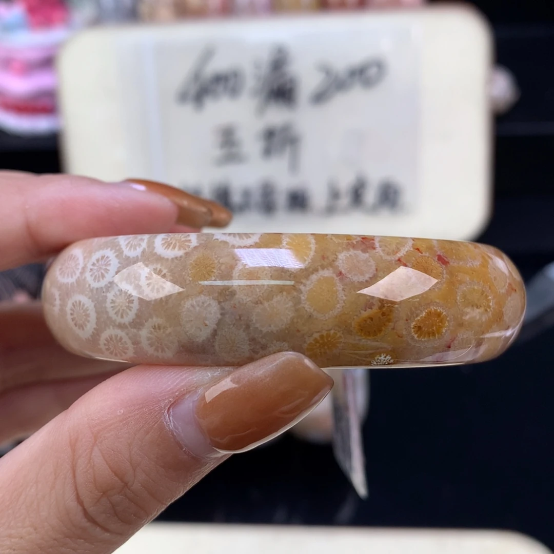 硅化珊瑚（珊瑚玉）未镶嵌颈饰五折手镯55.9口（48号）