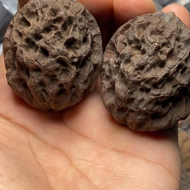 把件文玩核桃   169