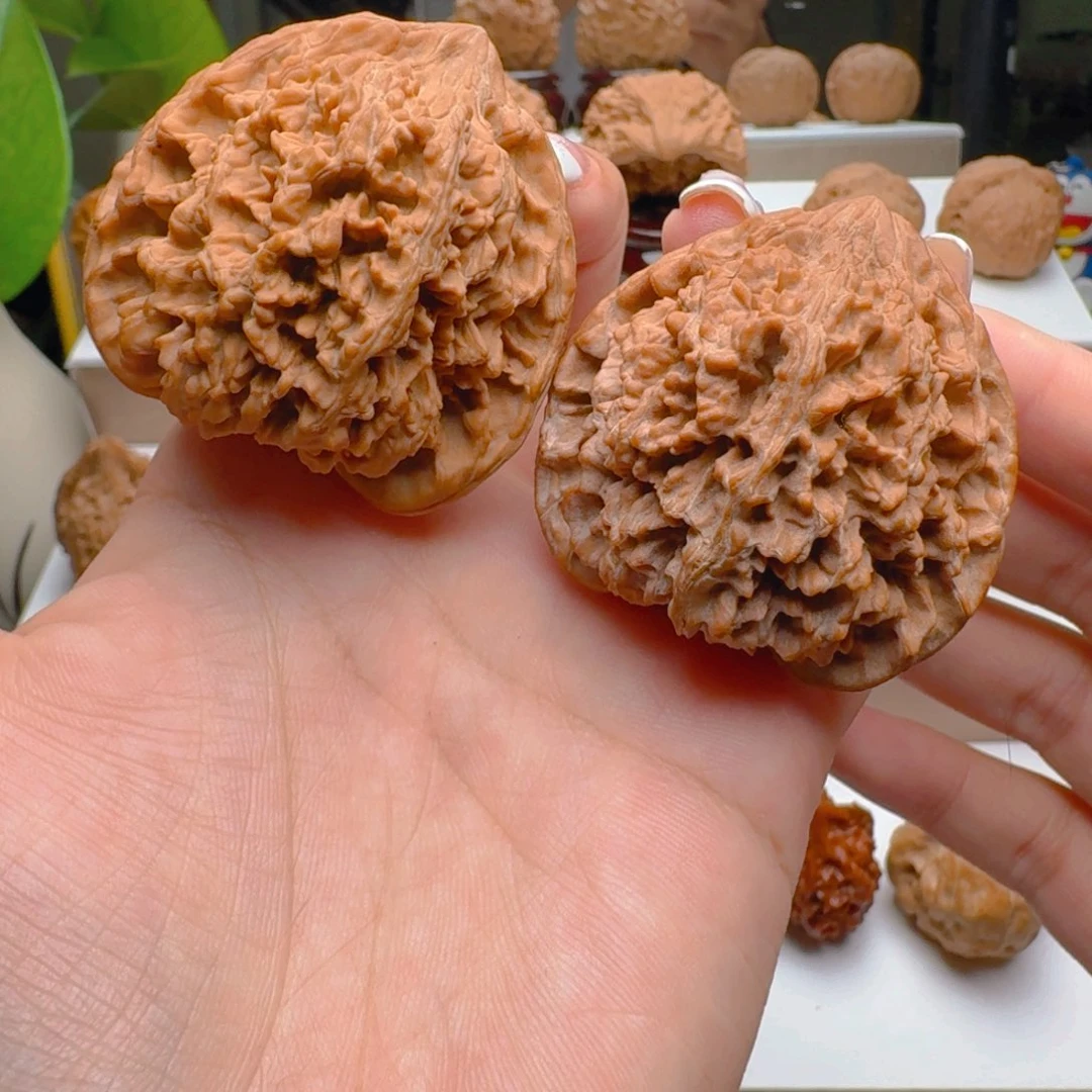 把件核桃45全品满天星