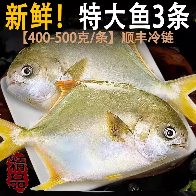 融港深鲜金鲳鱼新鲜冷冻特大超大镜鱼海鱼鲳鱼金昌鱼平鱼海鲜水产