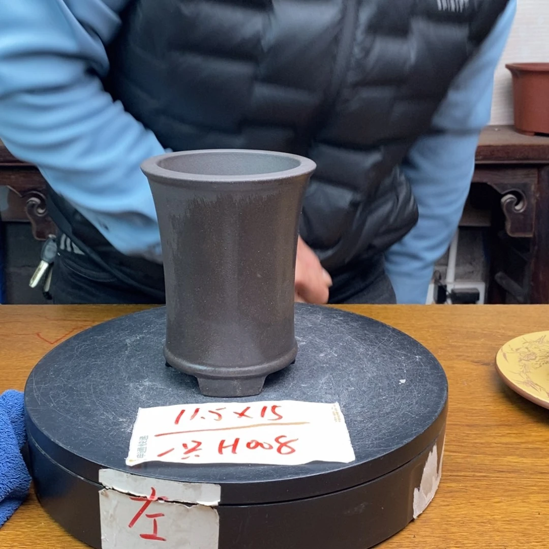 红陶货号一只H008