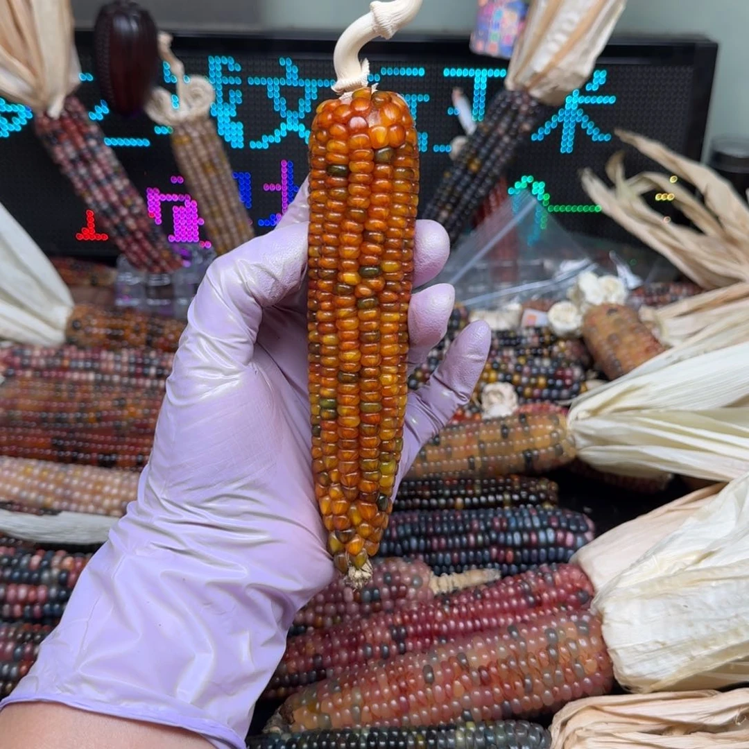 柏香籽/百香籽吊坠凌***油