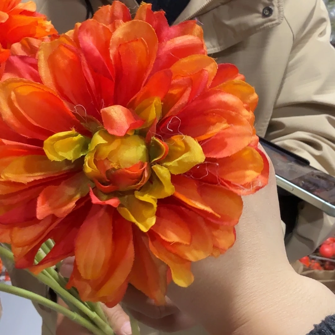 单只大丽花橘色25枝