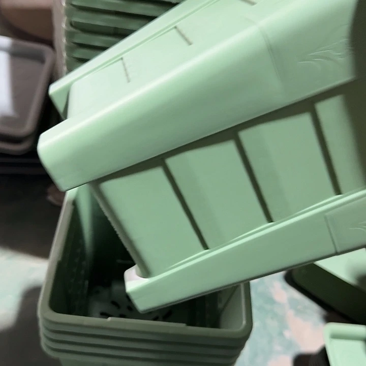 方22口径6个无托浅绿