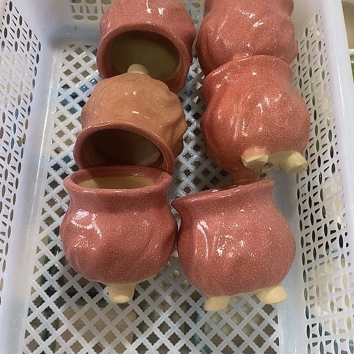 花盆抢购清货马上开始