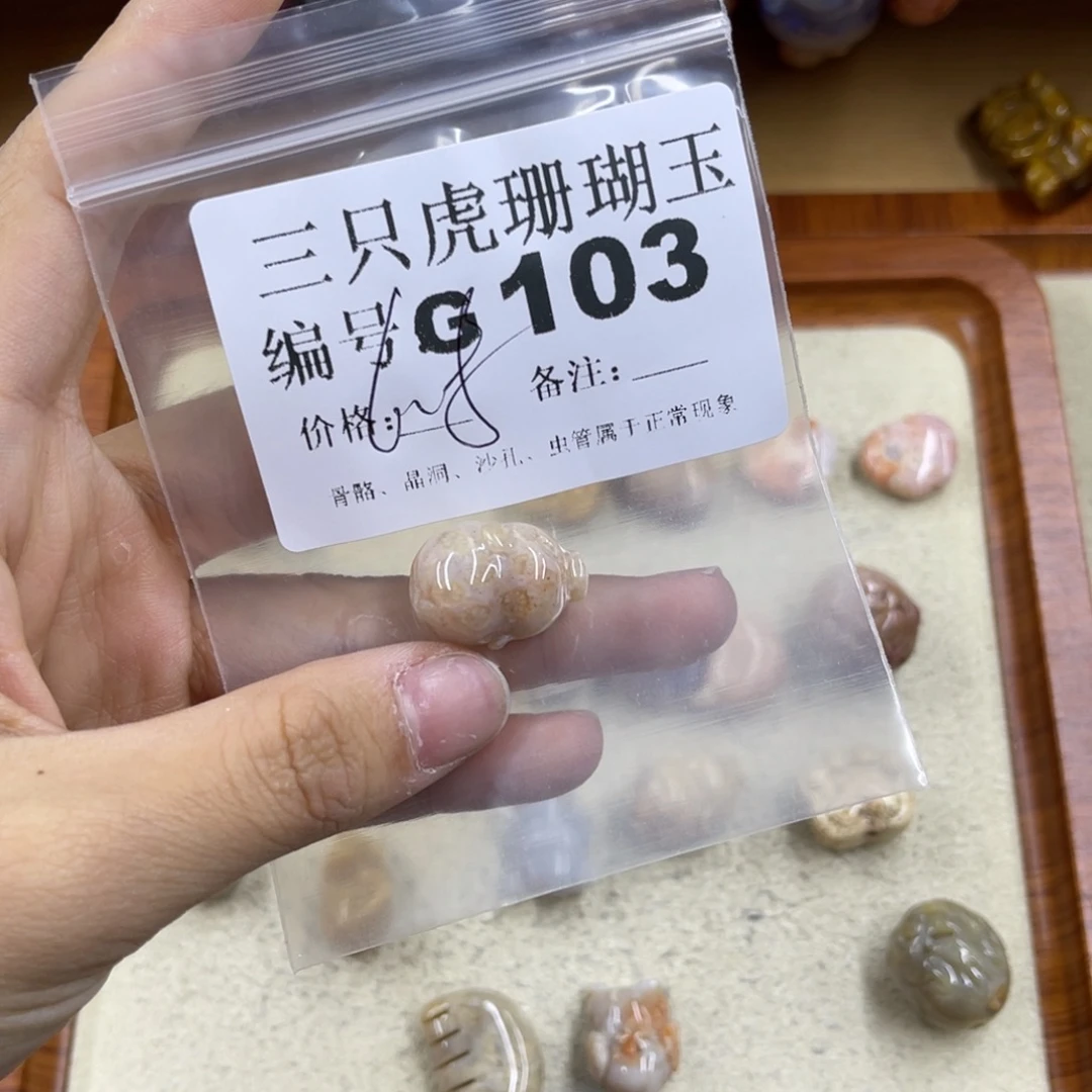 F***s未镶嵌h硅化珊瑚（珊瑚玉）