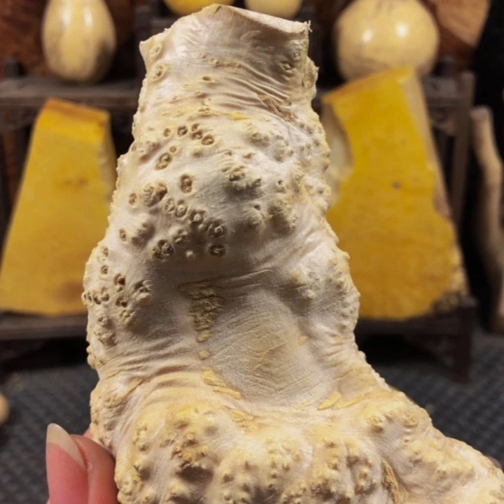 木德木料木料木料木料