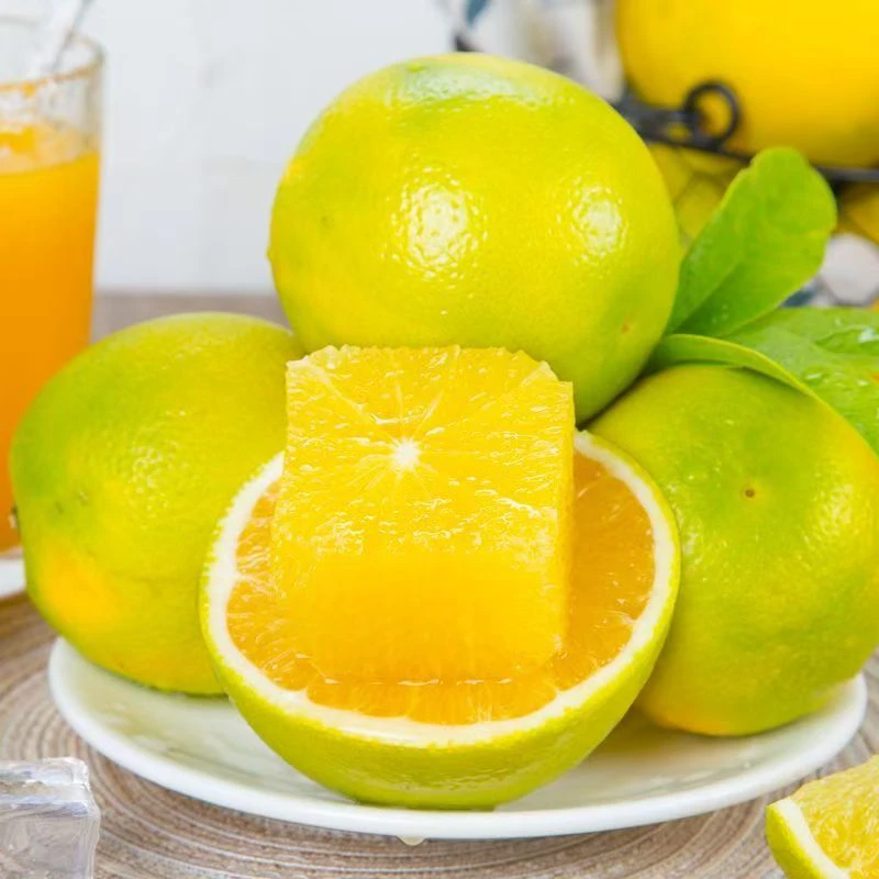 云南哀牢山青皮冰糖橙新鲜应季水果清甜多汁YJ店铺