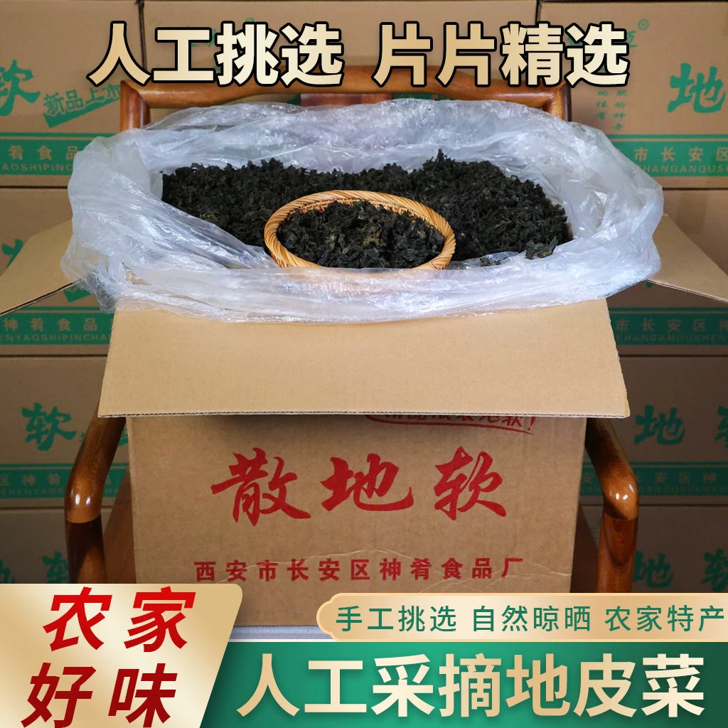 地皮菜野生干地皮菜特产干货雷公菌地木耳精选品质商用囤货散装