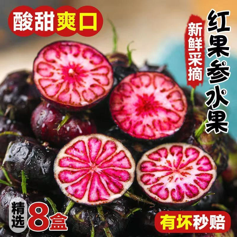 C8云南红果参采摘当季高原稀有罕见新鲜水果蜘蛛果算盘果脆甜可口