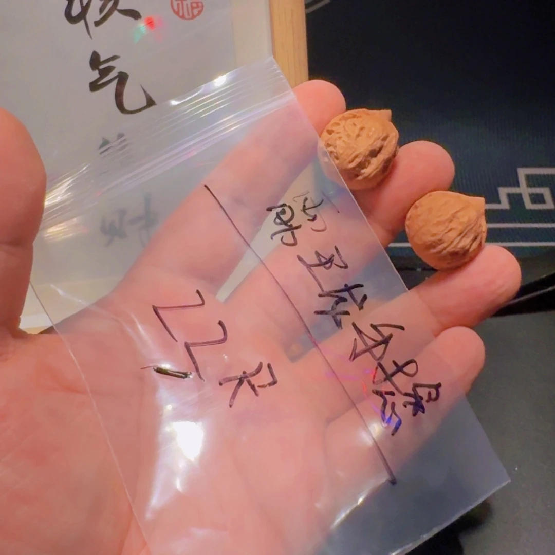 文玩核桃吊坠霸王龙手捻巨小版