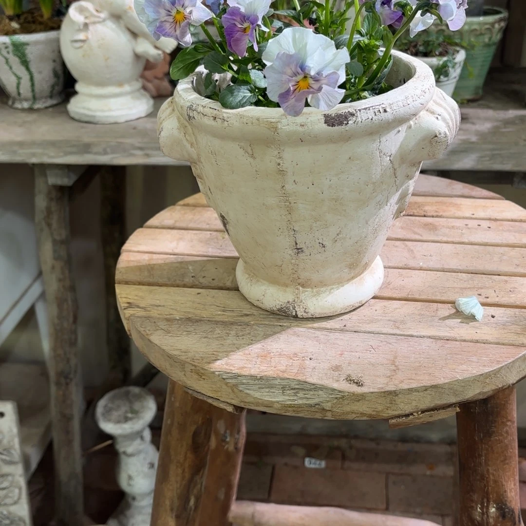 许纯的花房 白色福利奖杯38