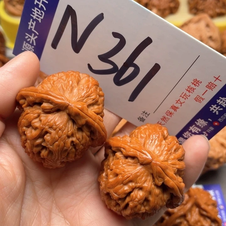 文玩核桃把件白狮子38尺