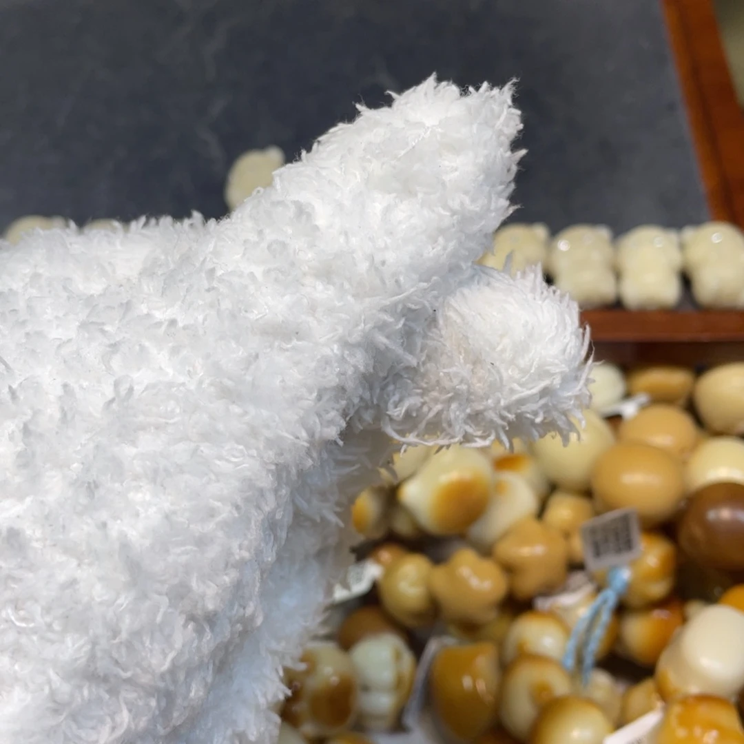 阿***巴手串菩提根/象牙果126补差价