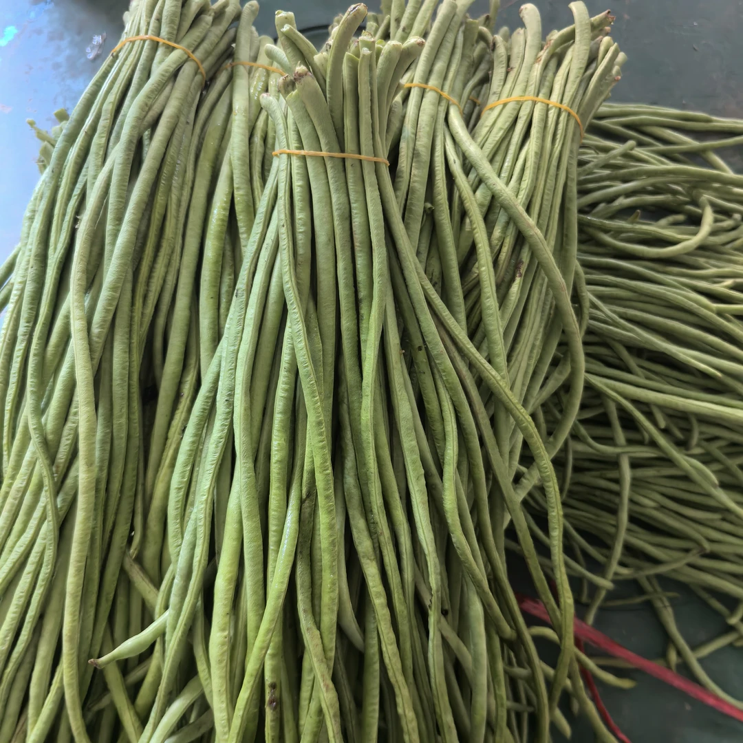 桂林本地农家长豆角