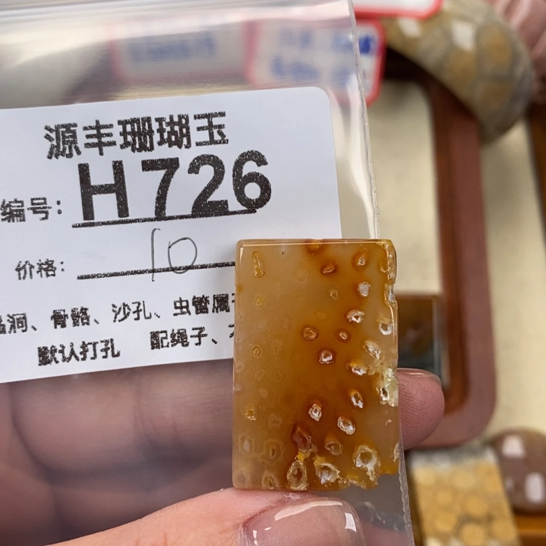 硅化玉颈饰未镶嵌木*
