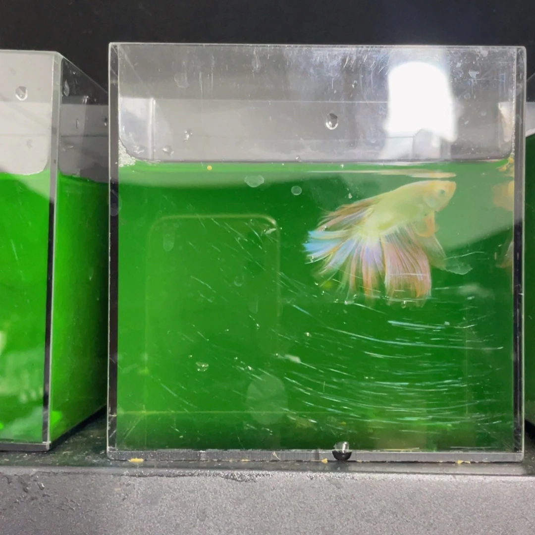 海水哈哈哈试试试试试试合适