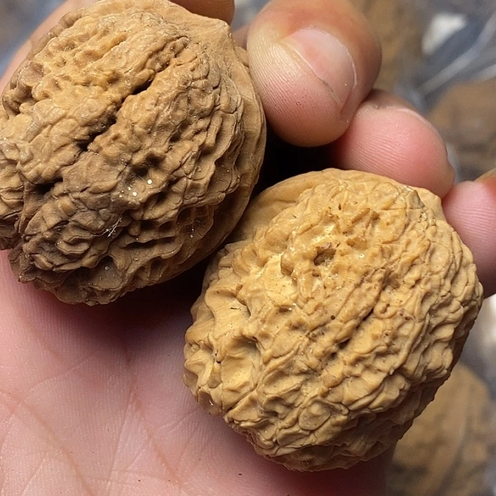 把件文玩核桃云南铁核桃67