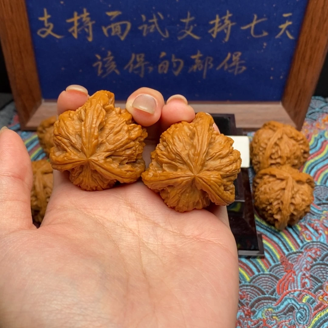 【闪购商品】?白狮