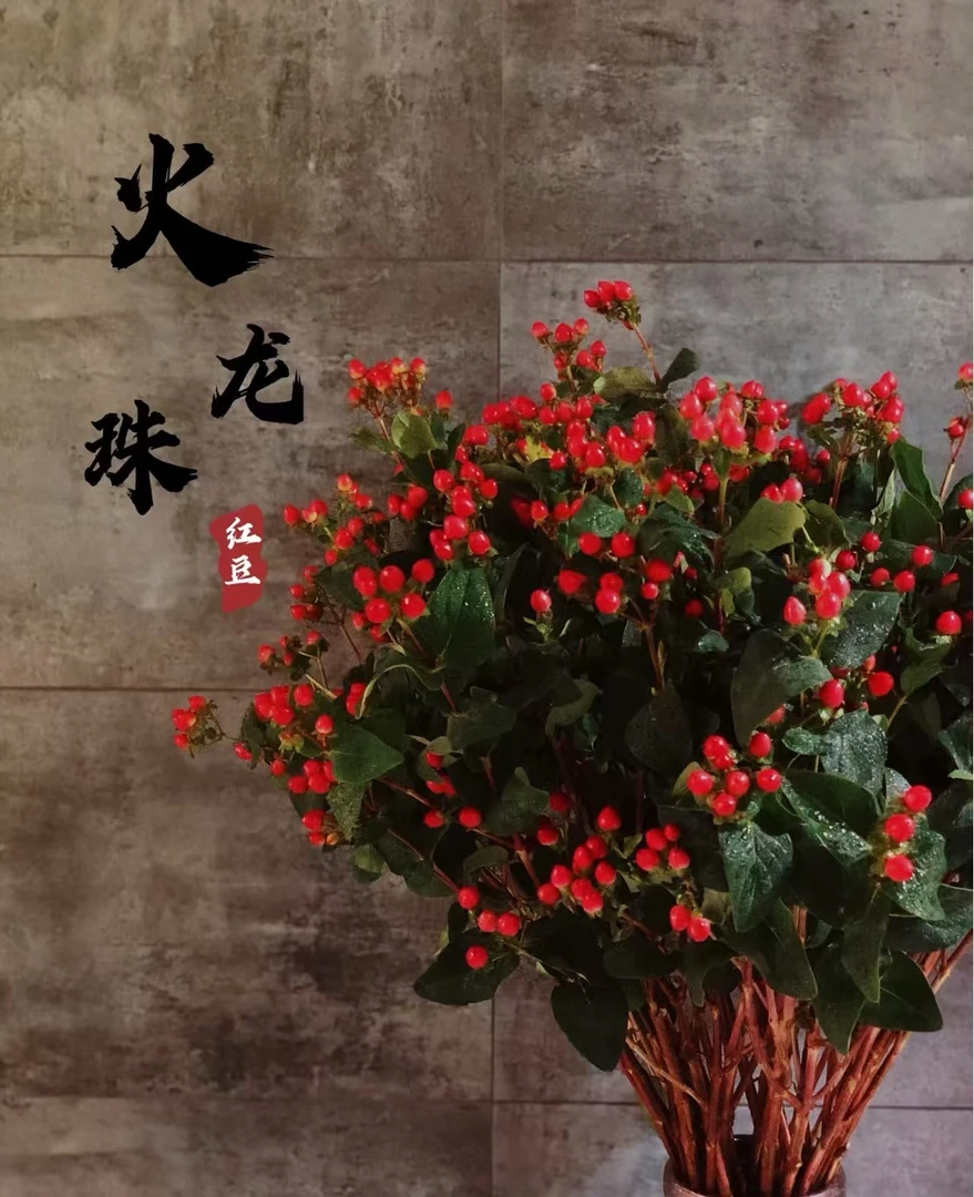 【相思红豆】全场任意两单顺丰/京东