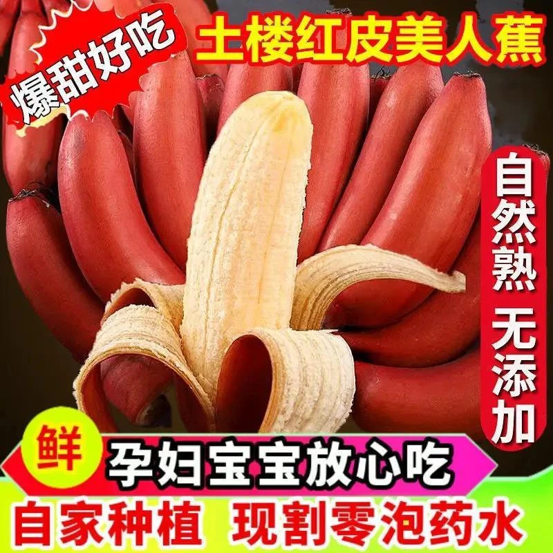 广西红美人香蕉美人蕉2斤5斤9斤红皮应季时令新鲜水果咖啡蕉