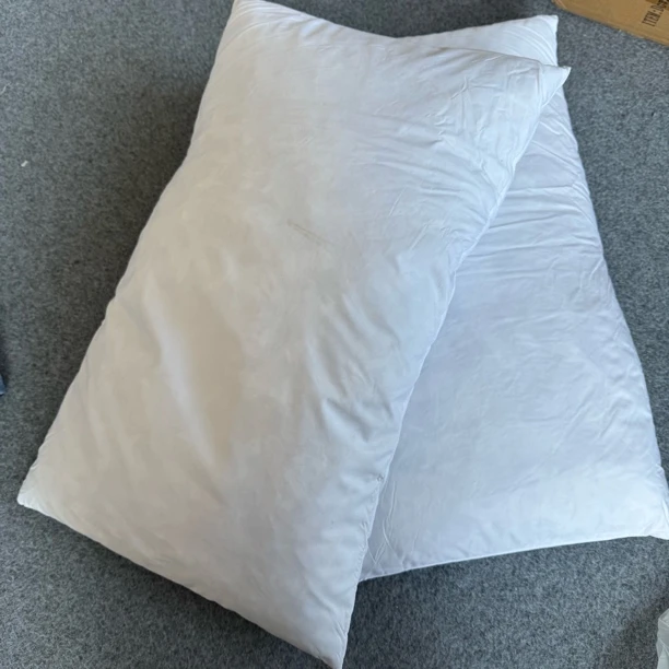 外贸高品质羽毛枕 约35*55左右发一对
