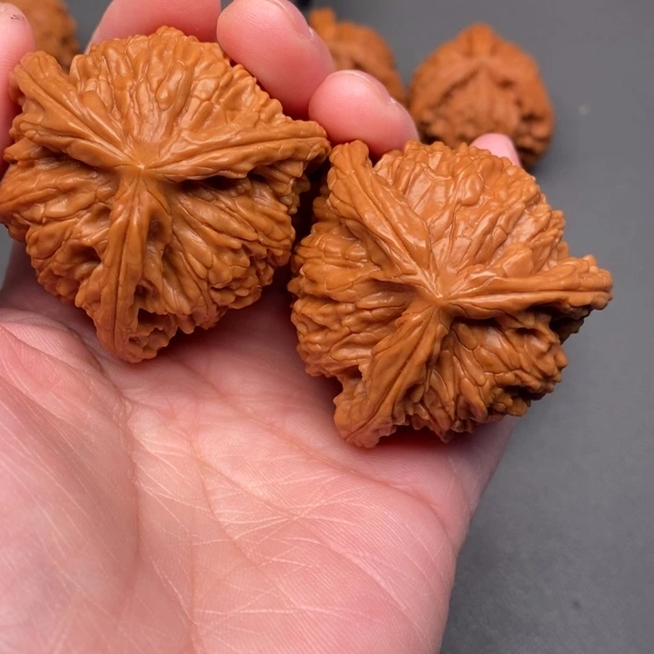 境***界木质类核桃核桃核桃