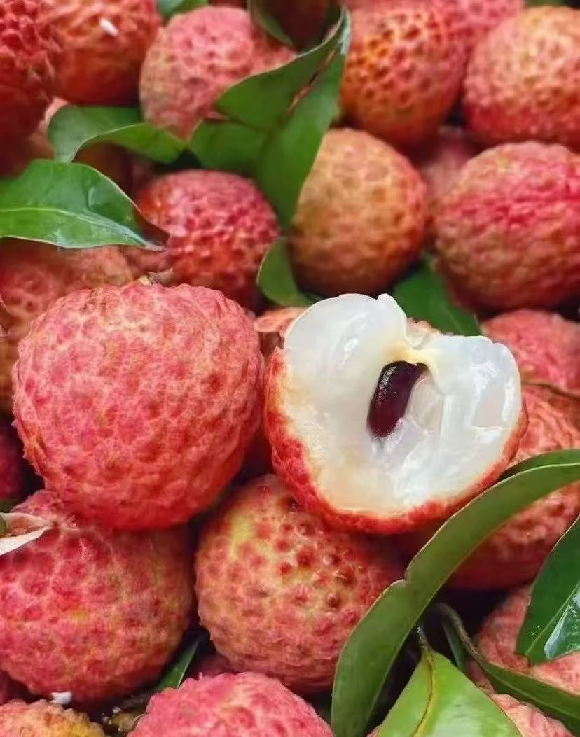 镇隆糯米糍荔枝（广东省内链接）