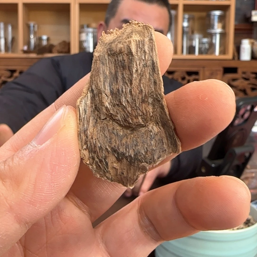 沉香摆件春*沉香深圳树根野料2克