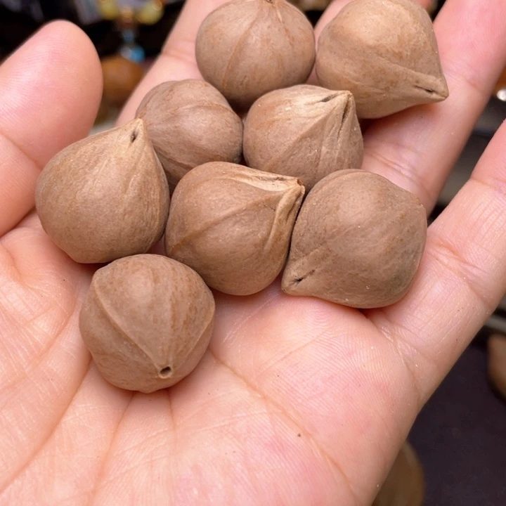 手串/手链橄榄核橄榄核2.0左右异型