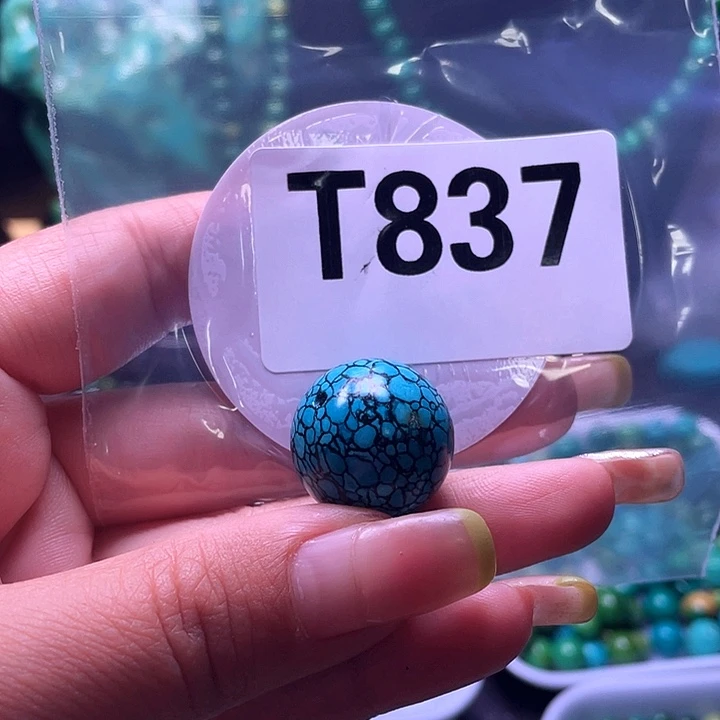 空竹粉丝福利专享