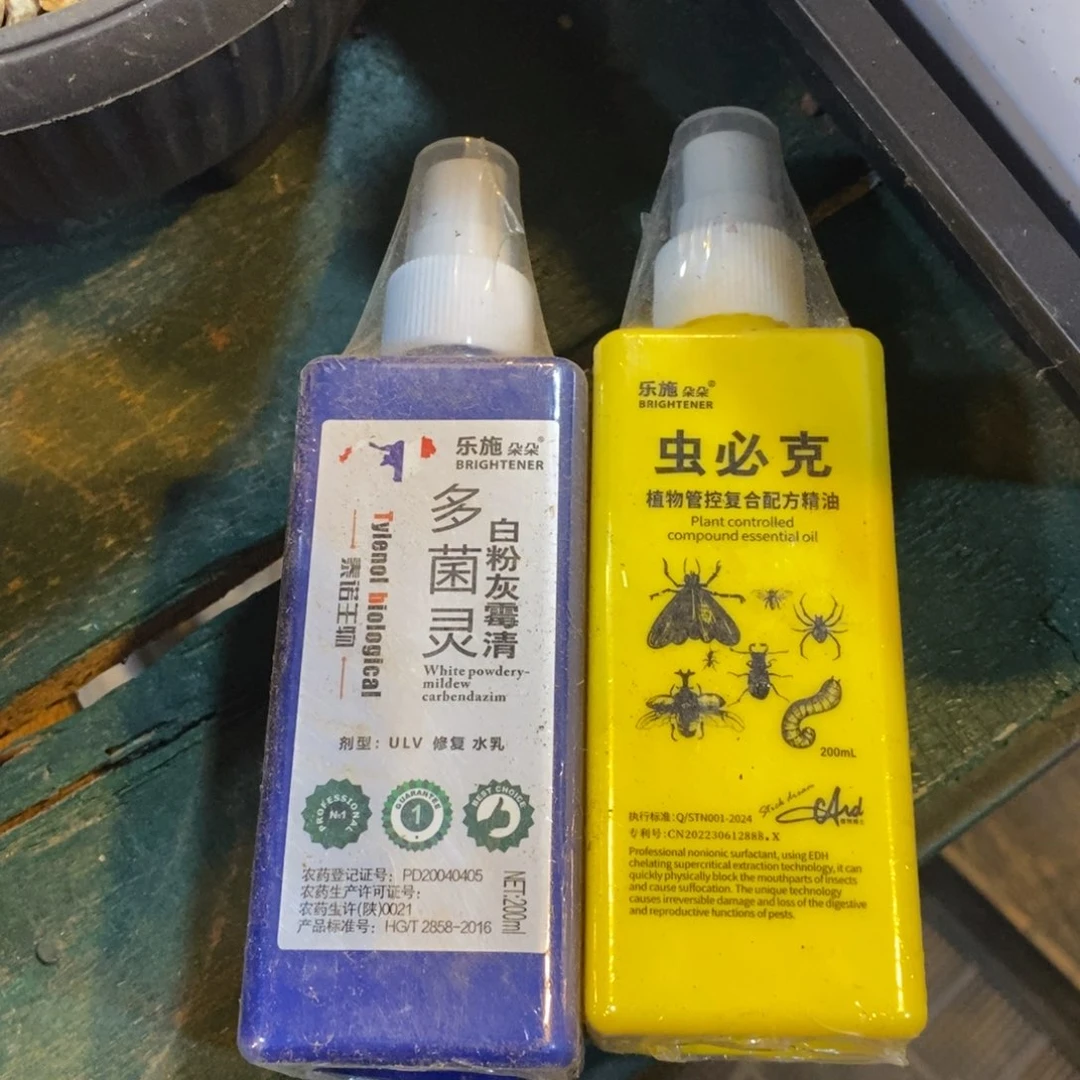 水****～多肉两个123456发货，1234567894