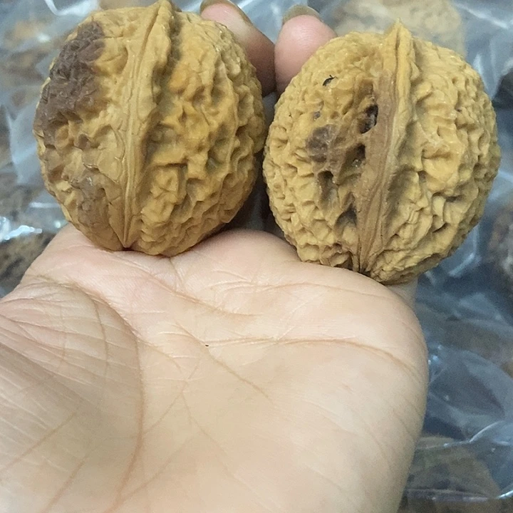 文玩核桃把件云南铁核桃基地39