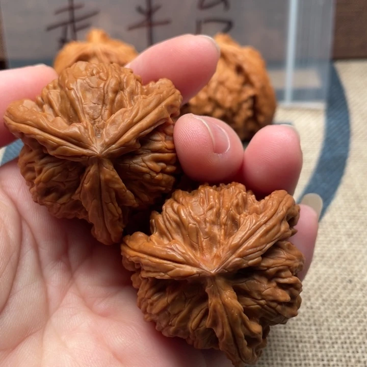 豪***哥核桃白狮子41核桃
