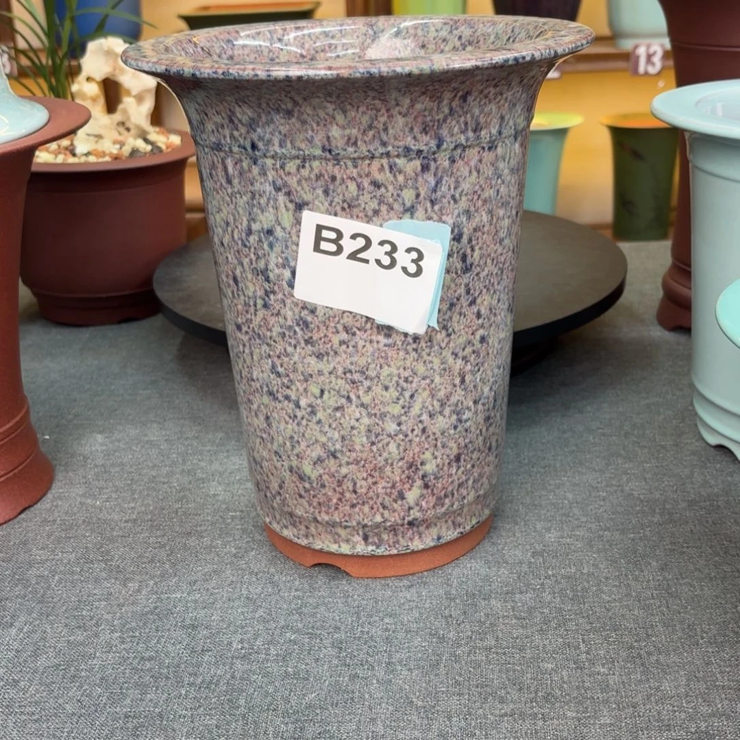 *****紫砂花盆兰花3767873679797