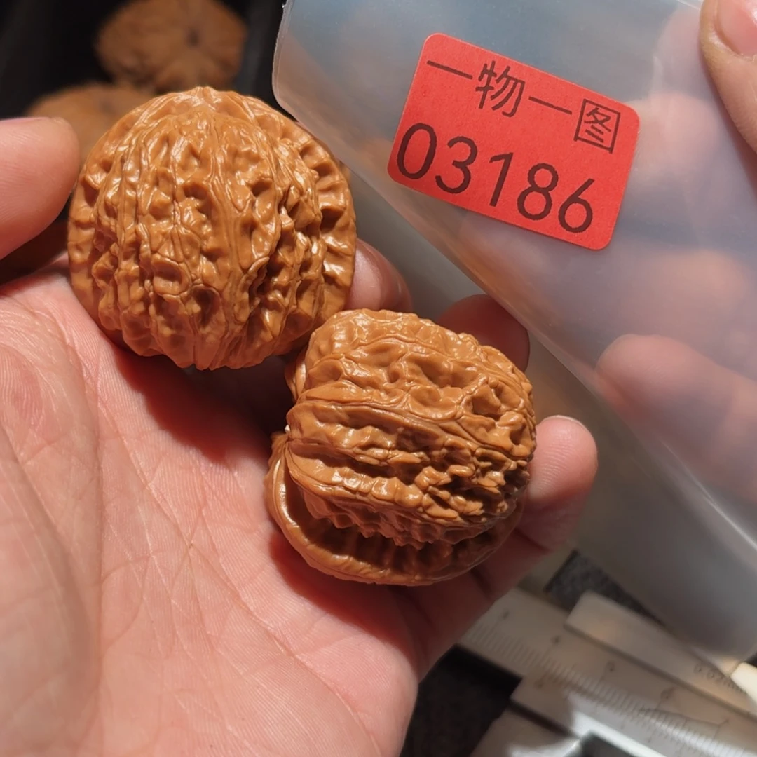 文玩核桃把件白狮子