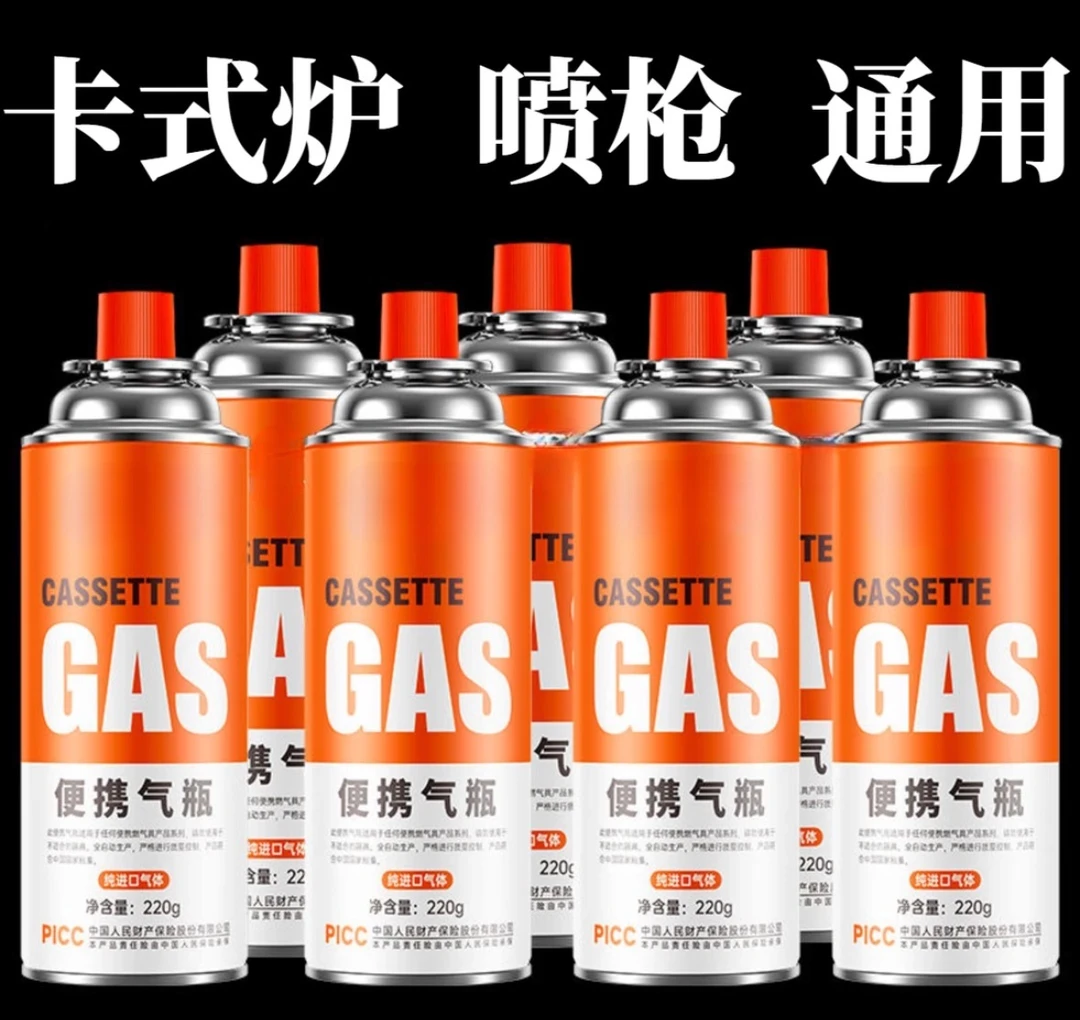 卡式通用气罐卡式炉烧猪毛户外野炊露营便携大容量收纳包220g