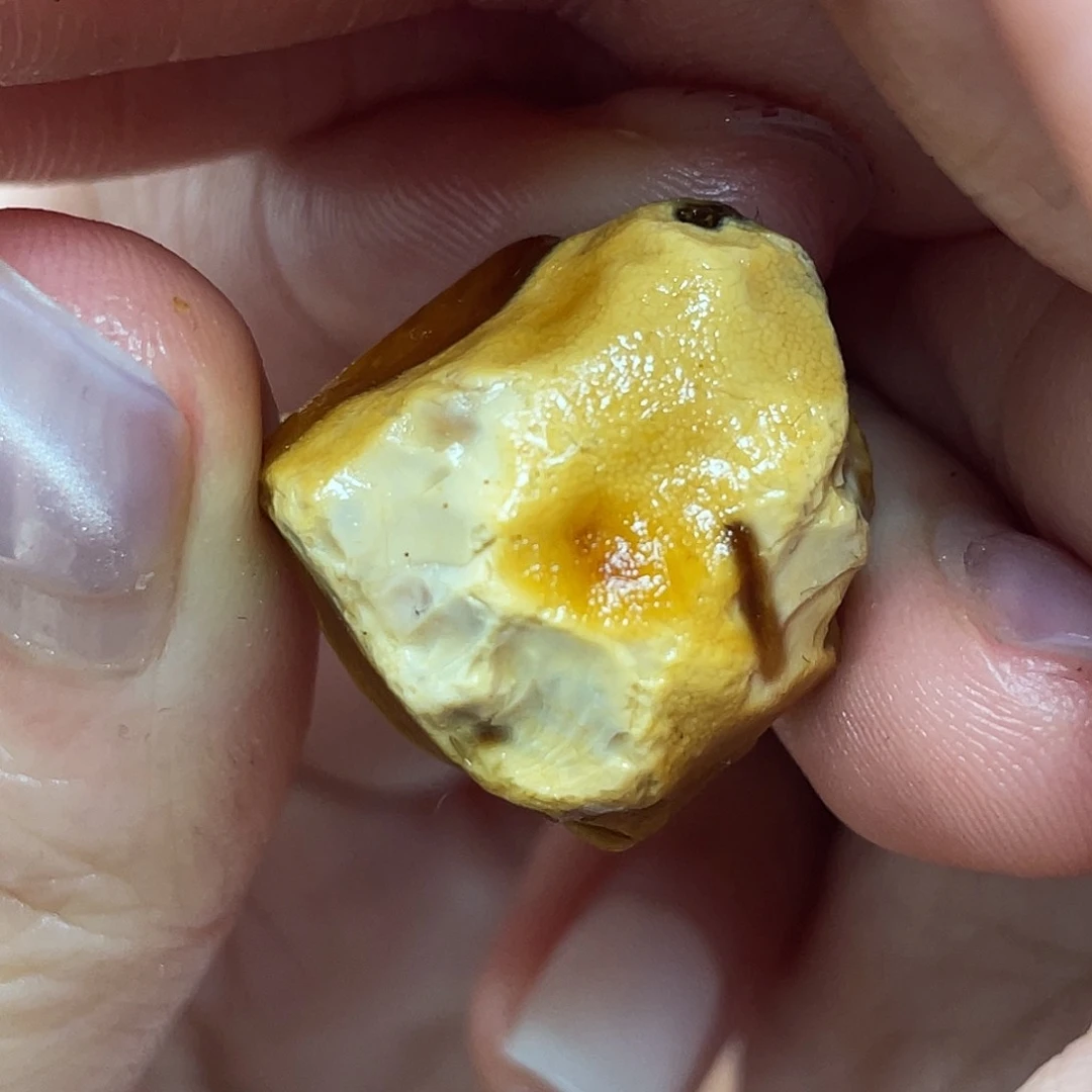 定制琥珀未镶嵌定制