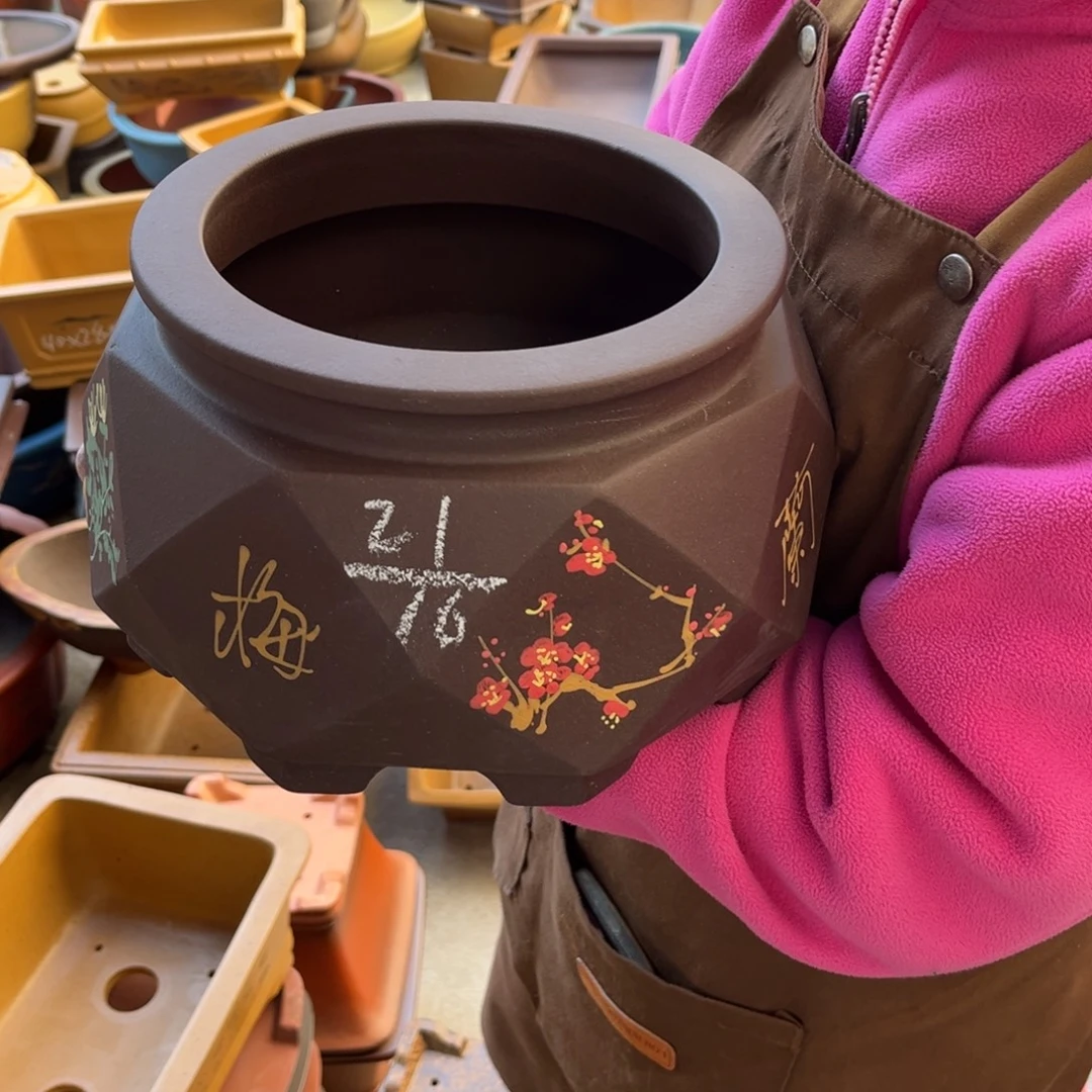 花盆紫砂盆景艺术