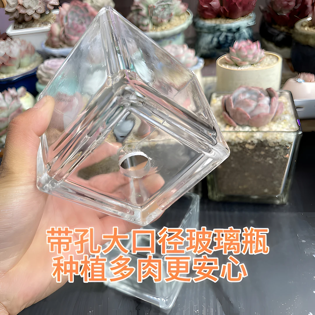 多肉玻璃瓶透明打孔花盆大口径肉肉种植花盆家用简约方形带孔
