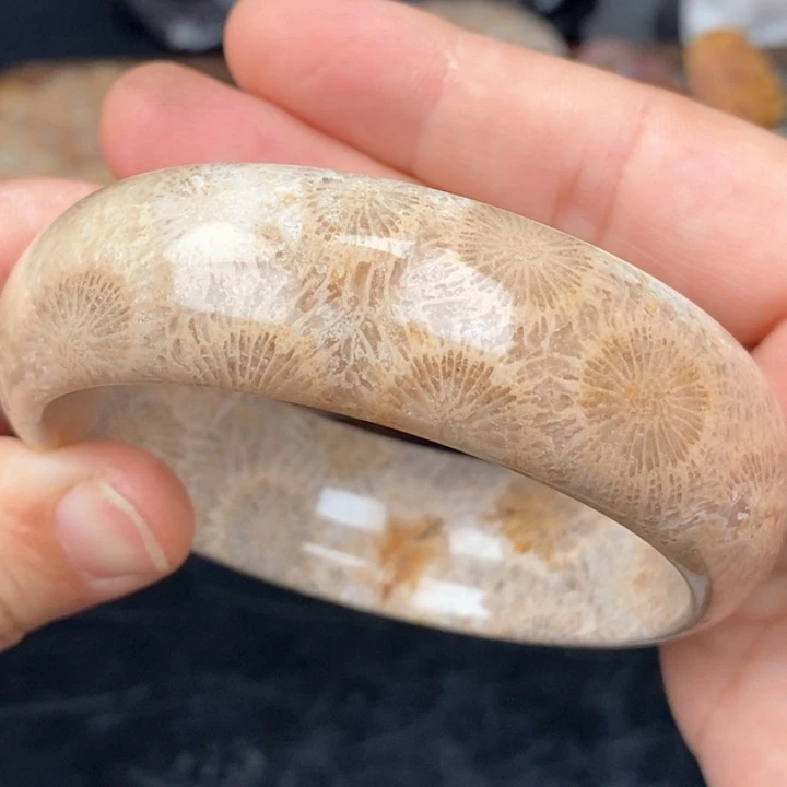 硅化珊瑚（珊瑚玉）手镯未镶嵌59.7