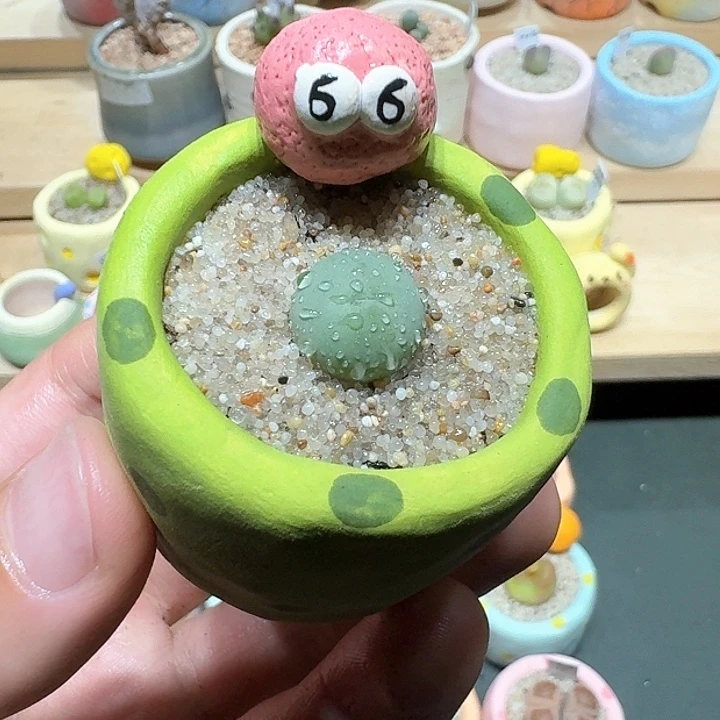 红陶蘑菇270鸽子蛋