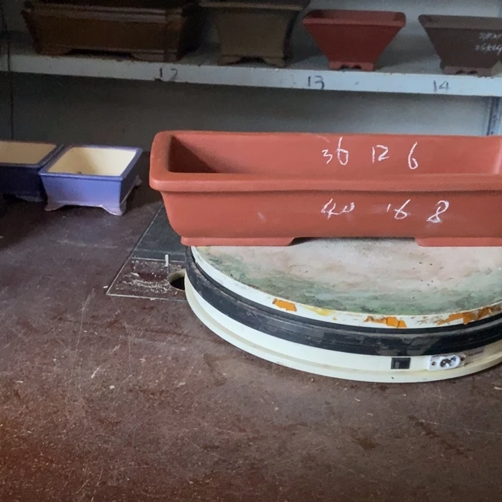 紫砂花盆闵月闯红灯