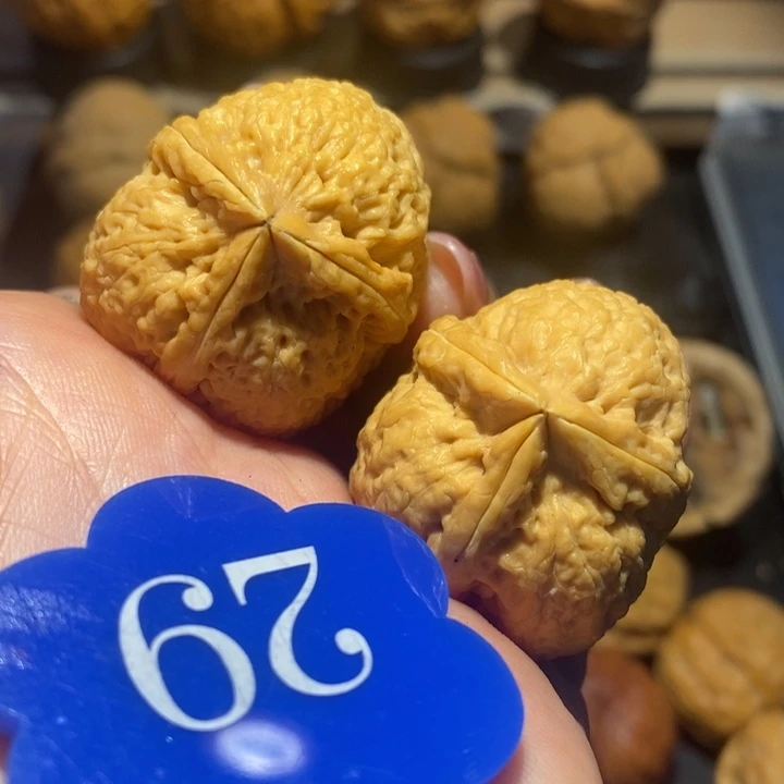 核桃石斧三棱尺寸33