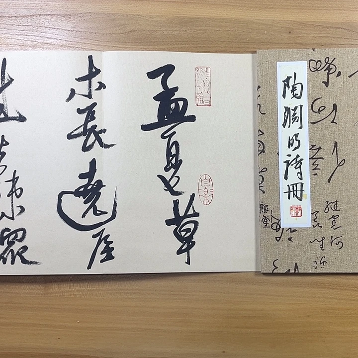 书法中书协会员作品