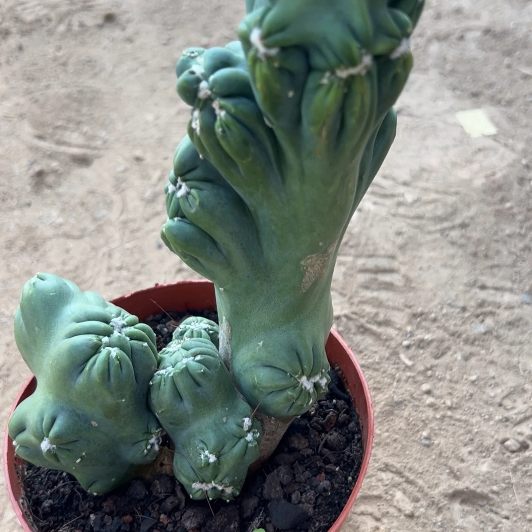 杨***洋零零落落 零零落落