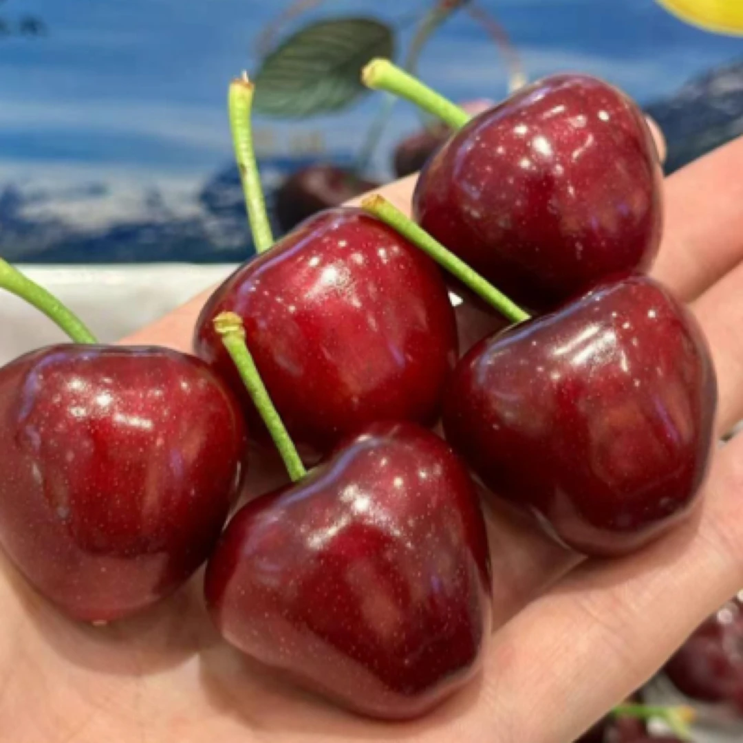 国产大樱桃3JJJ一箱带盒约3.5斤净果约1.8斤左右美早山东省