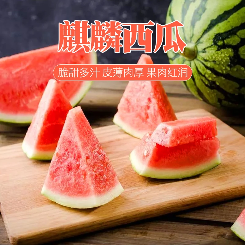 【坏果包赔】李明兴麒麟西瓜6-8斤